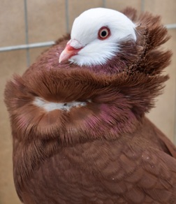 DSC_0010.jpg