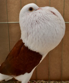 DSC_0029.jpg