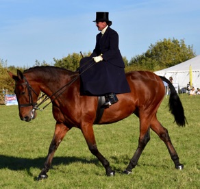 DSC_0068.jpg