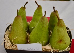 DSC_0215.jpg