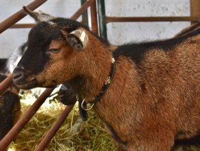 DSC_0664.jpg