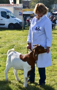 DSC_0681.jpg