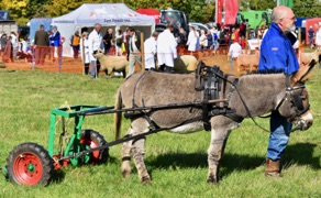 DSC_0757.jpg