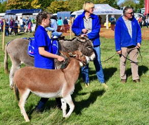 DSC_0759.jpg