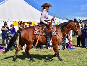 DSC_0822.jpg