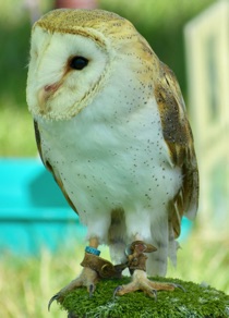 DSC_0850.jpg