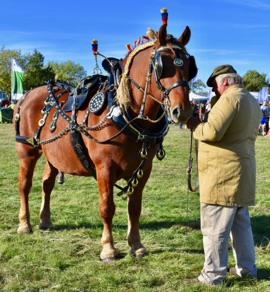 DSC_1002.jpg
